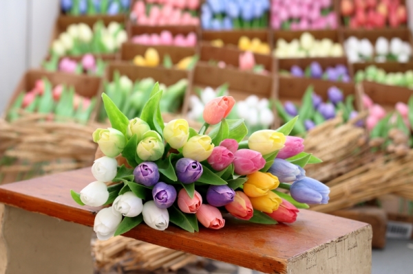 Umělý tulipán retro růžový 40cm