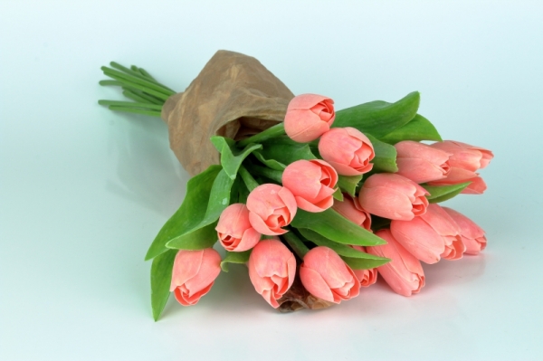 Umělý tulipán retro růžový 40cm