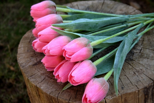 Umělý tulipán tmavě růžový