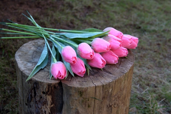 Umělý tulipán tmavě růžový