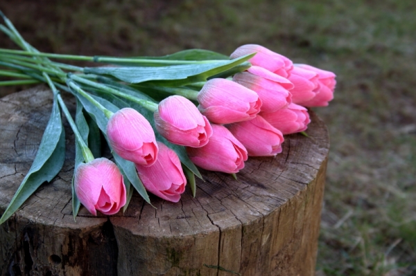 Umělý tulipán tmavě růžový