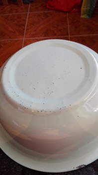 Umyvadlo smalt tyrkys pr. 32cm- VYŘAZENO dek4680