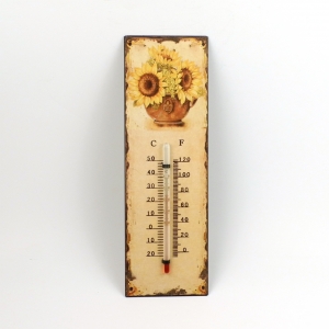 Venkovní rtuťový teploměr