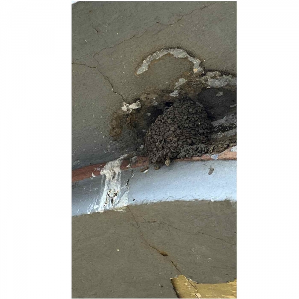 Vlaštovčí hnízdo beton 24,2x9,3x14,7cm