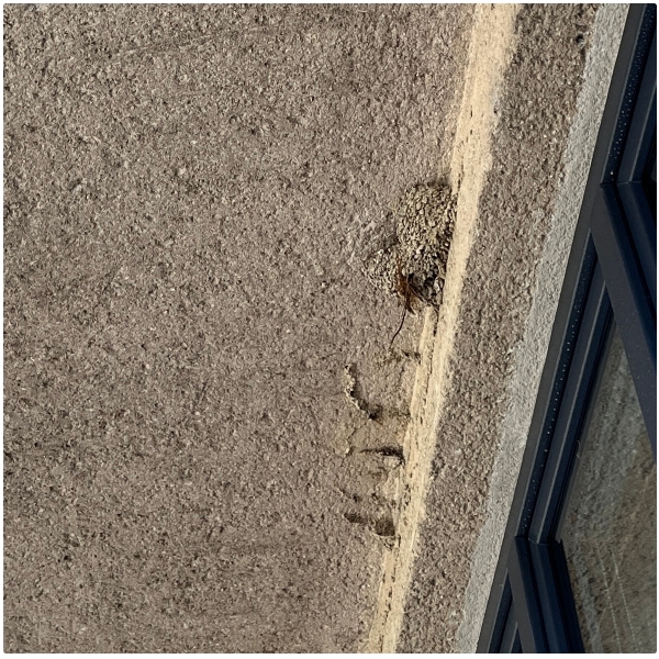 Vlaštovčí hnízdo beton 24,2x9,3x14,7cm