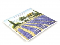 Vonné sáčky do vysavače Parfums Provence levandule