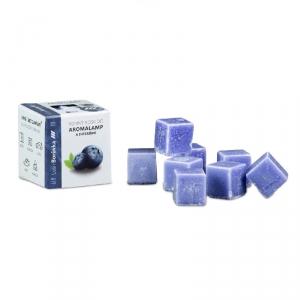 Vonný vosk do aromalamp Lesní borůvka 35g