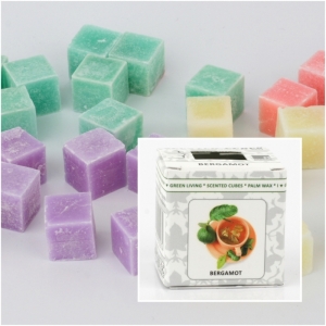 Vonný vosk do aromalamp Scented cubes - Cinnamon