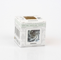 Vonný vosk do aromalamp Scented cubes gardénie