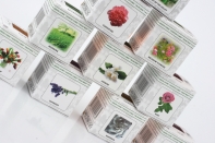 Vonný vosk do aromalamp Scented cubes Morning