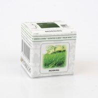 Vonný vosk do aromalamp Scented cubes Morning