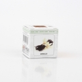 Vonný vosk do aromalamp Scented cubes Vannila (vanilka)