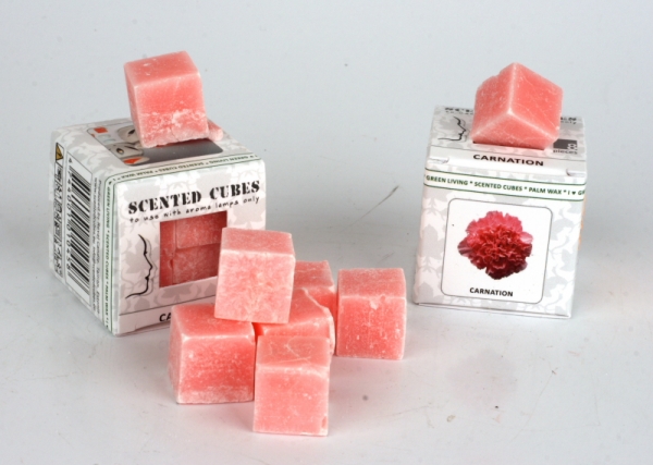 Vonný vosk do aromalampy karafiát Scented Cubes