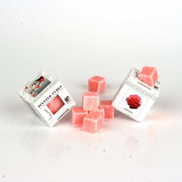 Vonný vosk do aromalampy karafiát Scented Cubes