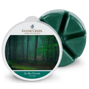 Vosk do aromalampy In The Forest – V lese 59 g Goose Creek