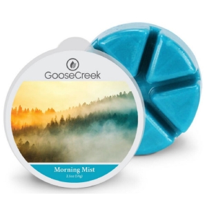 Vosk do aromalampy Morning Mist – Ranní mlha 59 g Goose Creek