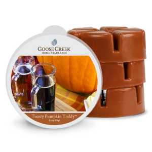 Vosk do aromalampy Toasty Pumpkin Toddy  – Dýňový grog  59 g Goose Creek