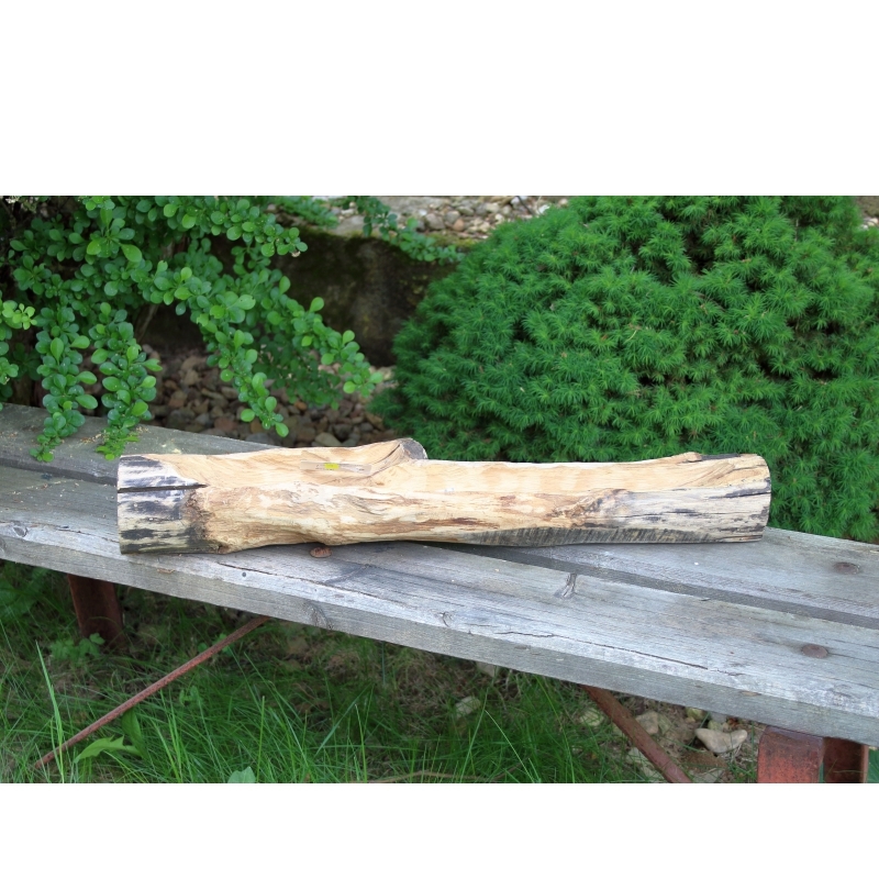 Zahradní dekorace na sukulenty 50x9x8cm