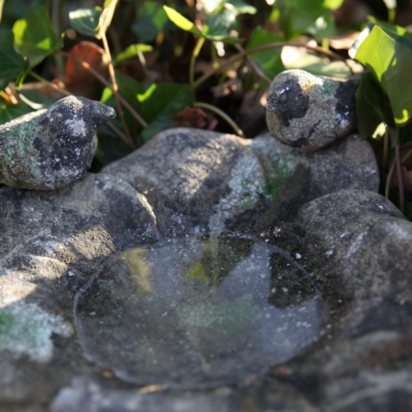 Zahradní pítko se zelenou patinou