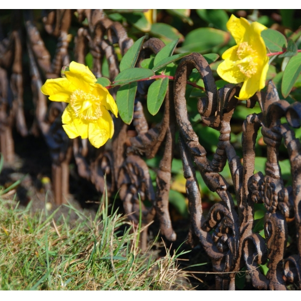 Zahradní plůtek 29,5x1x31cm