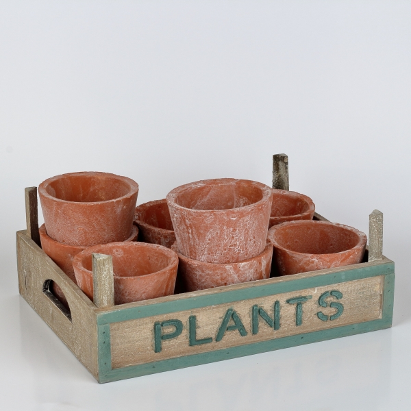 Zahradní přepravka s květináči PLANTS 33x24x12cm