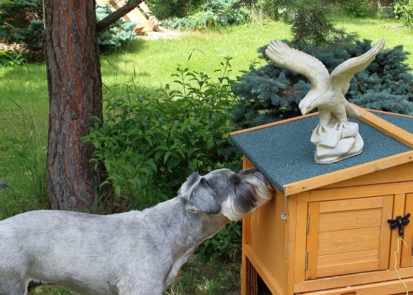 Zahradní socha orel 35x21x33cm