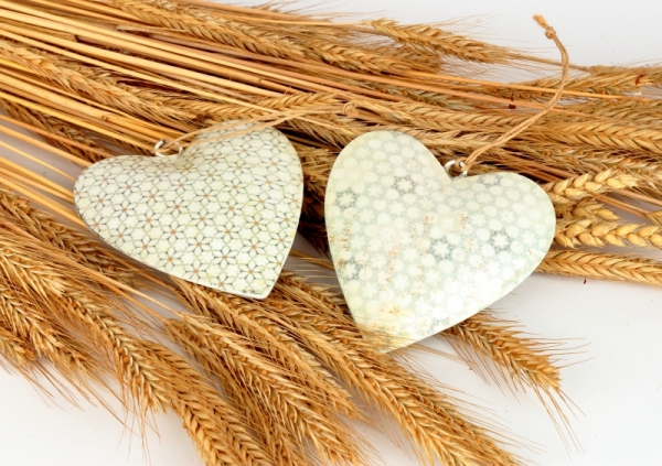 Závěsná dekorace Zamilované srdce