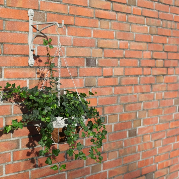 Závěsný květináč 26 x 26 x 16 cm lví hlavy