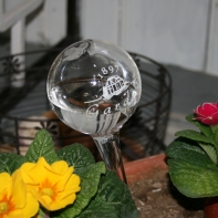 Zavlažovací koule do květináče 270ml