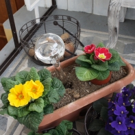 Zavlažovací koule do květináče 270ml