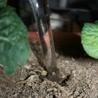 Zavlažovací koule do květináče 270ml