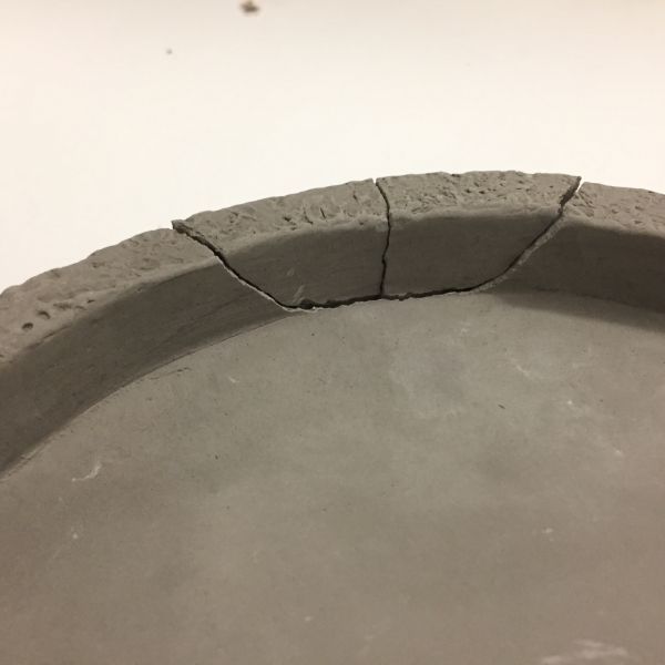 Zenová zahrádka - vyřazeno