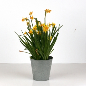 Zinkový květináč 15,5cm