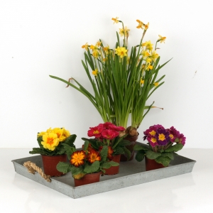 Zinkový tác 49x33,5cm