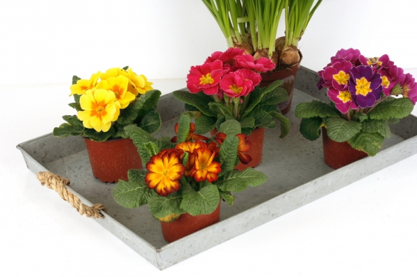 Zinkový tác 49x33,5cm